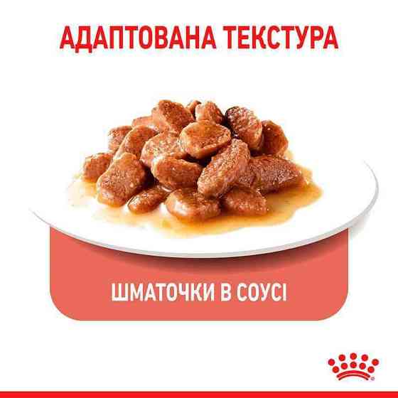 Royal Canin Appetite Control Care(Роял Канин Аппетайт Контрол) влажный корм (кусочки в соусе) для полных котов 85 г х 12 шт Запорожье