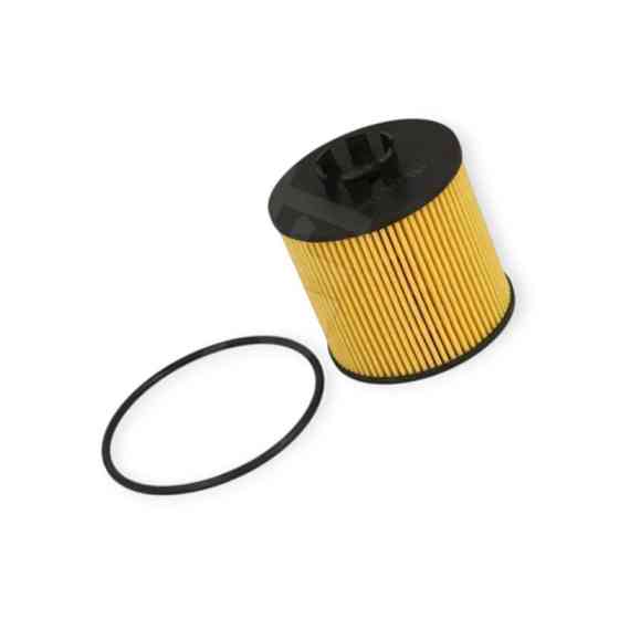 Фильтр SKODA OCTAVIA 1.6FSI 04- масляный Мукачево