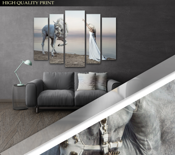 Модульна картина Кінь і Дівчина Art-296_5 ( 80х118см ) Київ