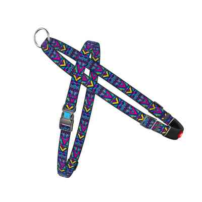 Шлея для собак WAUDOG Nylon з QR-паспортом "Інді" M (5395) Вінниця