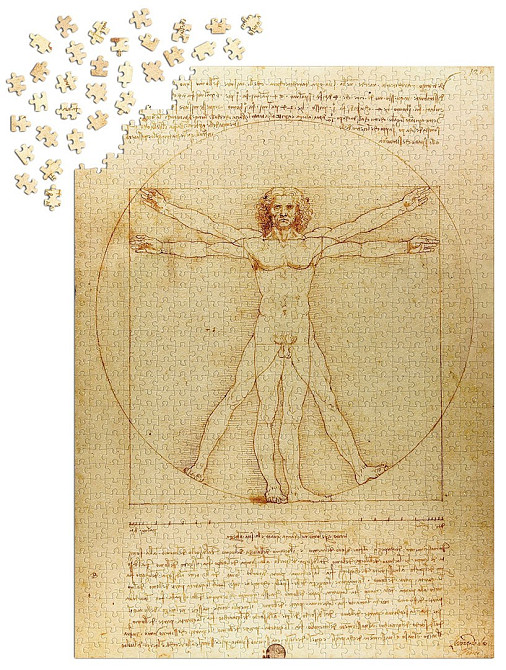 Пазл Вітрувіанська людина - The Vitruvian Man (Enjoy-1557) Киев - изображение 4