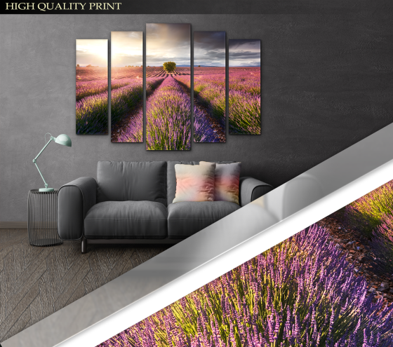Модульна картина Природа Лаванда Art-350_5 ( 80х118см ) Київ