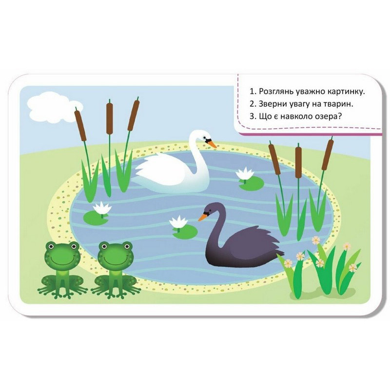 Дитячі розвивальні картки "Світ довкола" 1664001, 20 карток Вінниця - фото 5