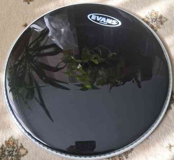 Пластик для ударных EVANS 13