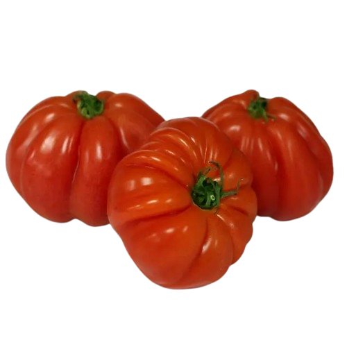 Томат Медвежонок лапа 0.2гр Вкусный Житомир