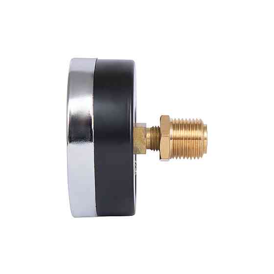 Термоманометр Thermo Alliance Standart 80 мм 1/2", заднє під'єднання SD17310B Київ