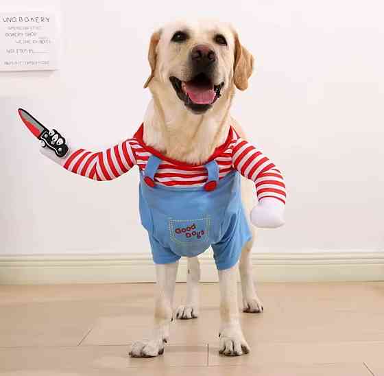 Костюм для собак Чакі ХL на Хелловін різнокольоровий Київ