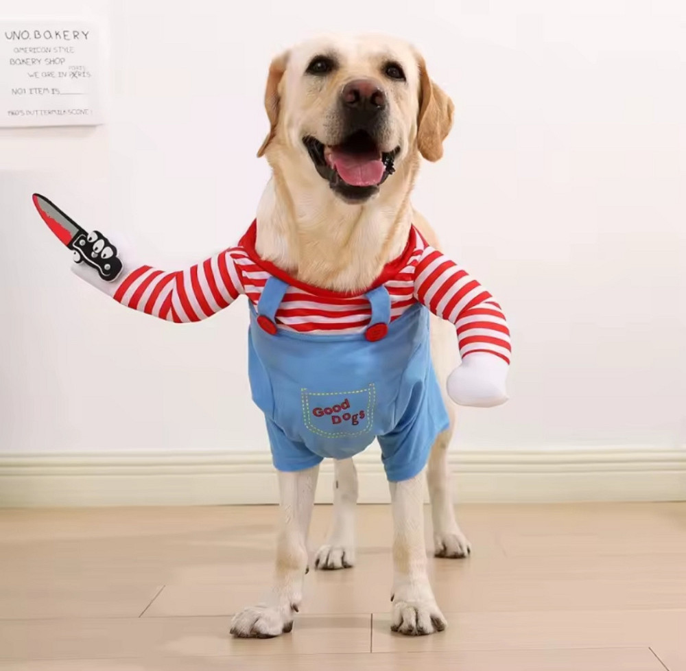 Костюм для собак Чакі ХL на Хелловін різнокольоровий Київ - фото 1