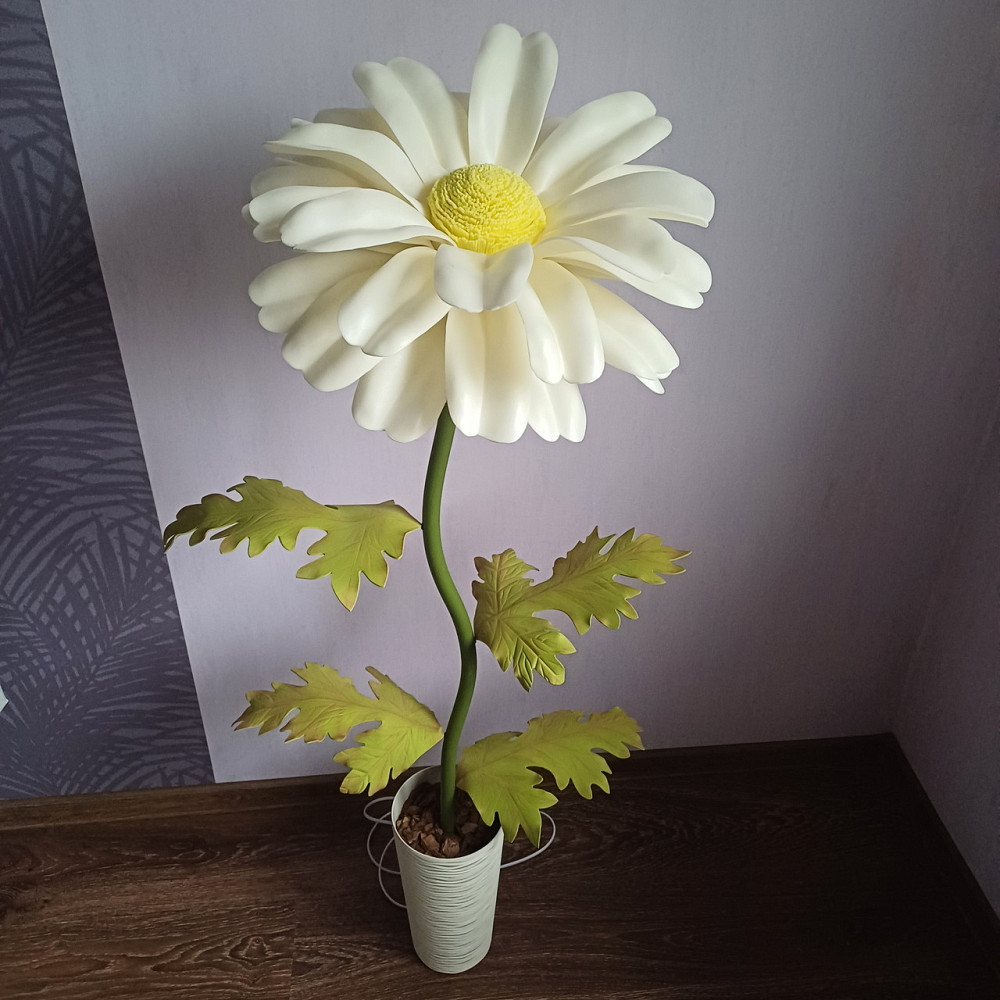 Мініторшер_Ромашка Дніпро - фото 6