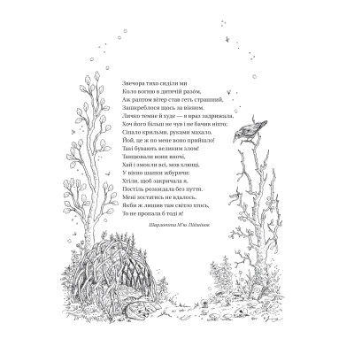 Книга Викрадений спадкоємець (Викрадений спадкоємець #1, Ельфгейм #4) - Голлі Блек Vivat (9786171706446) Винница - изображение 11