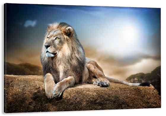 Картина полотно у вітальню / спальню     Лев     MLP_154  ( 60х30см ) 70x140 см Київ