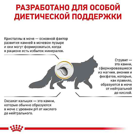 Royal Canin Urinary S/O (Роял Канін Уринарі С/О Фелін) сухий корм для котів під час хвороб сечовивідних шляхів Запоріжжя