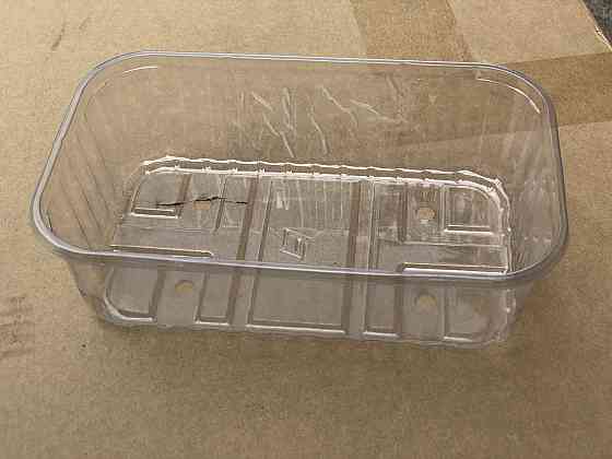 Пластиковый лоток для ягод 250 грамм T6 ПЭТ Павлоград