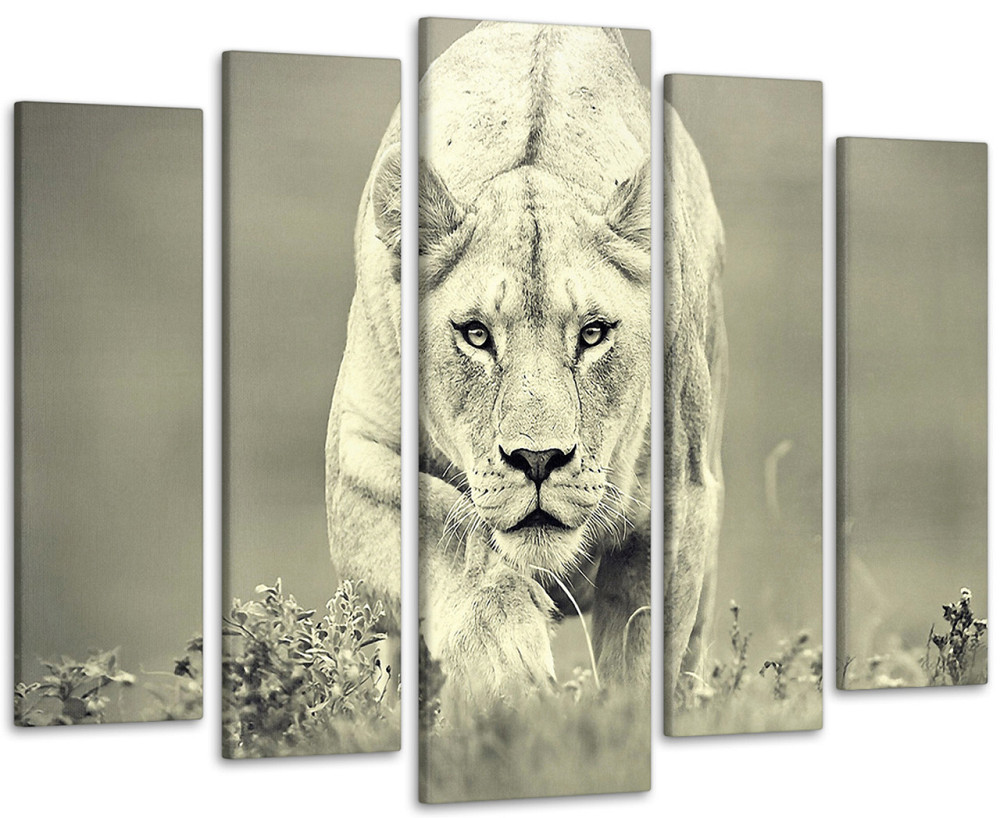 Модульна картина Природа Тигр Art-194_5 Київ - фото 1