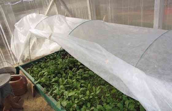 Полотно 6 м 42 г/м² плотности сменное готовое агроволокно для парника Днепр