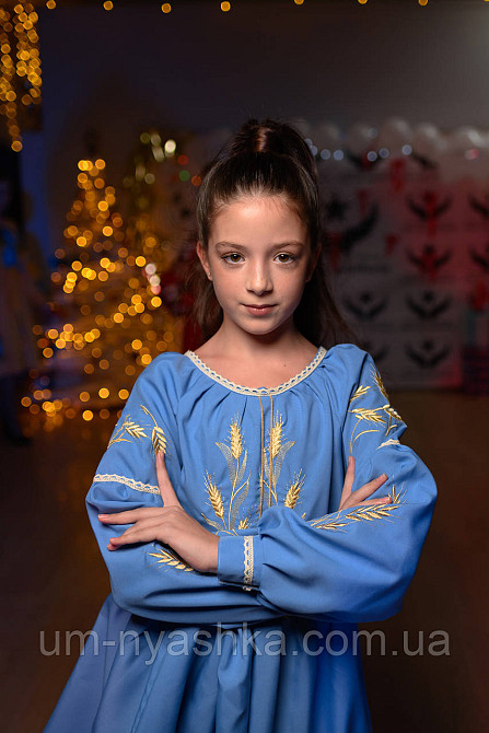 Детское вышитое платье с колосками Кривой Рог - изображение 10