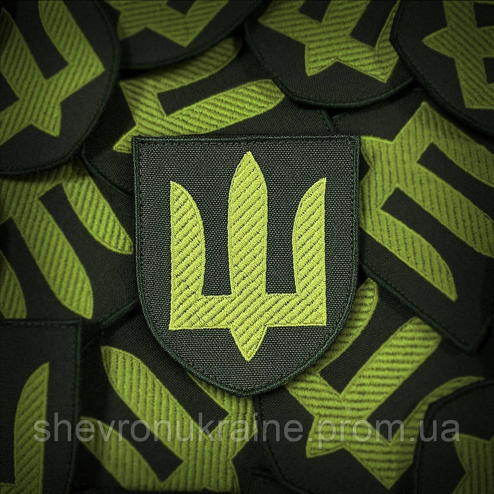 Шеврон Сухопутные войска (Форма щит. На липучке) Размер 8x7см Киев - изображение 1