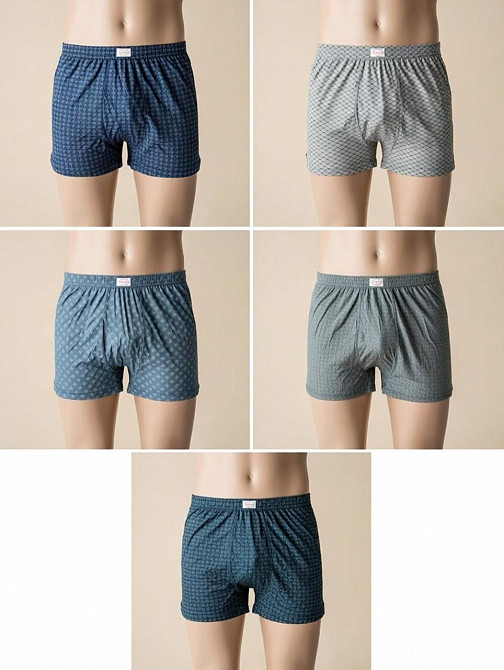 Комплект чоловічих сімейних трусів Doremi (5 шт.). Розмір від 2(M) до 7(4XL) 7 (4XL) Київ - фото 1