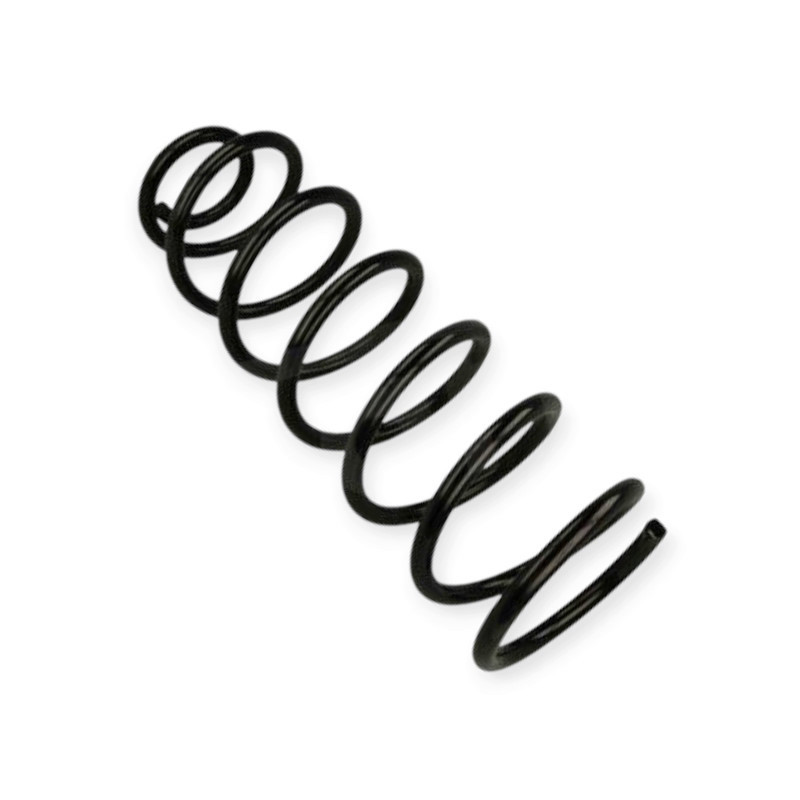 Пружина Citroen C8, Peugeot 807, Fiat Ulysse (02-11) ззаду Мукачево - фото 1