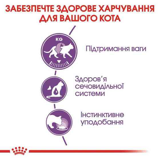 Royal Canin Sterilised Jelly (Роял Канин Стерелайзд желе) влажный корм для стерилизованных кошек от 12 месяцев 0.085 кг. х 12 шт. Запорожье