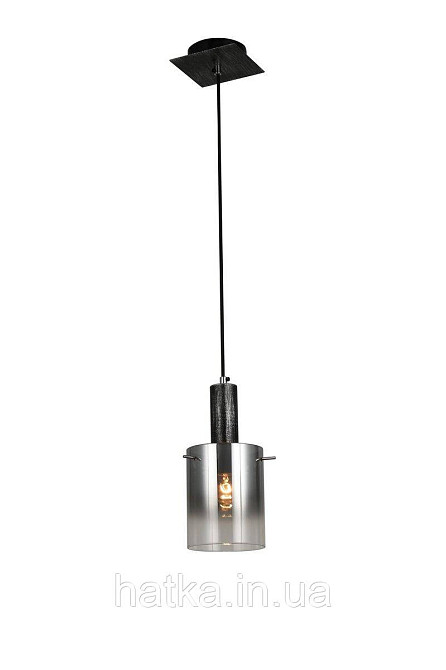 Підвісний світильник G 07459/1P матовий чорний сріблястий хром Київ - фото 1