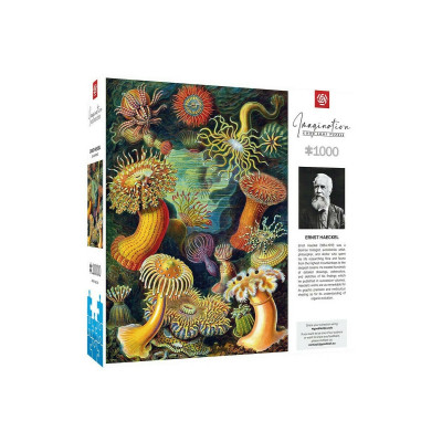Пазл GoodLoot Imagination: Ernst Haeckel: Sea Anemones 1000 ел. (5908305244943) Вінниця - фото 1