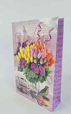 Великий паперовий пакет вертикальний 25/37/8 (артBV-159) (12 шт.) Харків