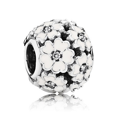 Серебряный шарм Пандора  791488EN12MasterSem Киев - изображение 1