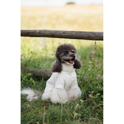 Футболка для тварин Pet Fashion Ostap XS (4823082439263) Вінниця - фото 6