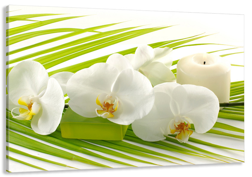 Картина холст у вітальню / спальню Орхідея     MLP_94  ( 60х30см ) 70x140 см Київ - фото 1