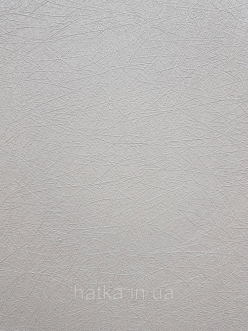 Шпалери метрові вінілові на флізеліні A.S.Creation Flowers Symphony1.06x10 смужки павутинка молочні перламутр Київ - фото 2