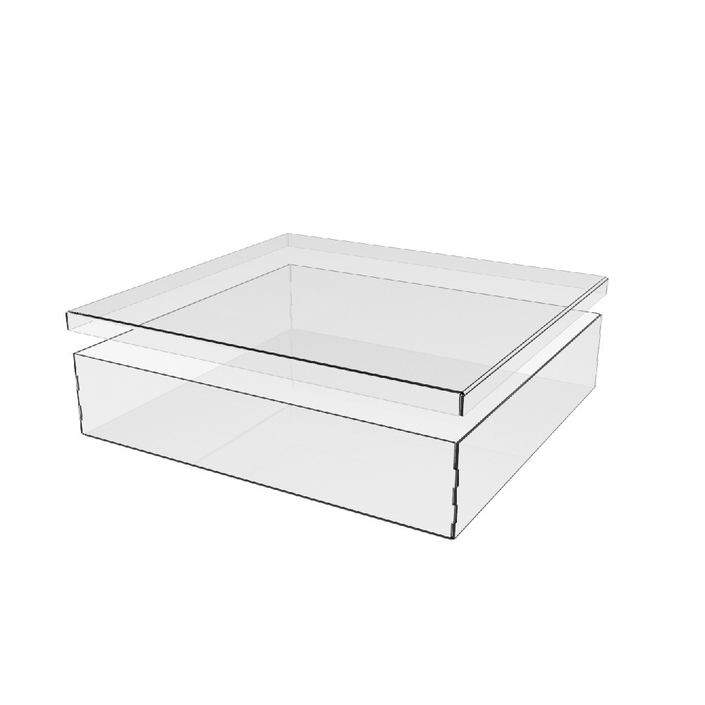Коробка акриловая EKOSTAR 304х284х65 с крышкой Киев - изображение 3