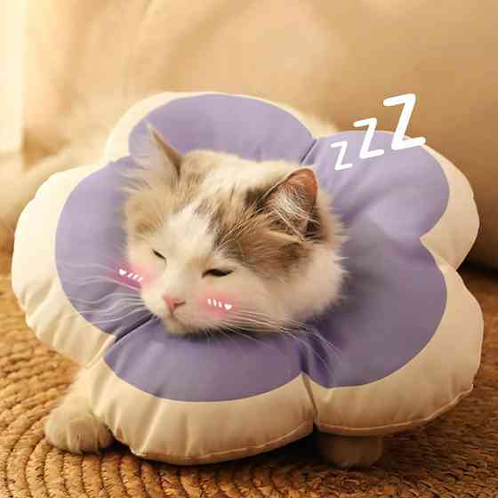 Мягкий воротник-подушка для кошек DT1018 послеоперационный защитный от вылизывания XS Purple Київ