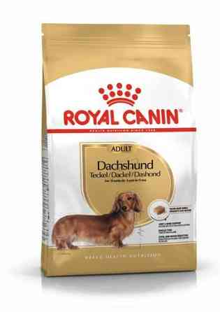 Royal Canin Dachshund Adult (Роял Канін Даксхунд Едалт) сухий корм для собак породи такса від 10 місяців Запоріжжя
