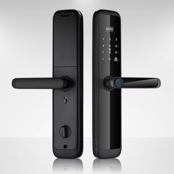 Смарт замок кодовий розумний дверний KHS-X06 з відбитком пальця і ключ-картою, чорний Кам'янець-Подільський