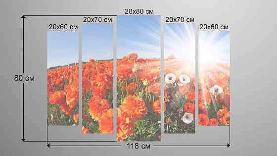 Модульная картина Цветы Маки Art-19_5 Киев