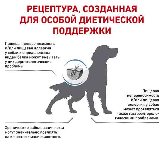 Royal Canin Anallergenic (Рояв Канін Аналердженік) сухий корм для собак при небажаній реакції на корм 3 кг. Запоріжжя