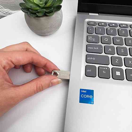 Флешка Wibrand Taipan 4ГБ Срібляста Київ