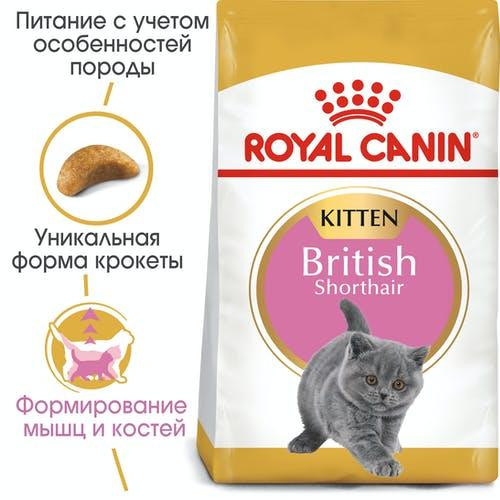 Royal Canin British Shorthair Kitten (Рояв Канін Кіттен британська короткошерсна) сухий корм для котят 2 кг. Запоріжжя - фото 2