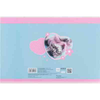 Альбом для рисования Kite Rachael Hale, 12 листов (R24-241) Винница