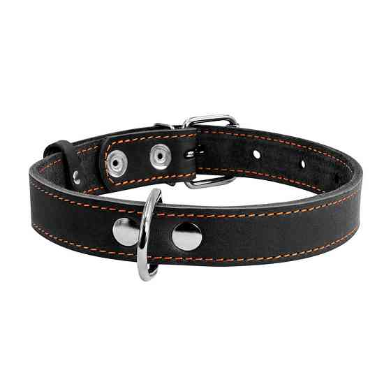 Нашийник "CoLLaR" одинарний (ширина 35мм, довжина 48-63см) чорний Київ