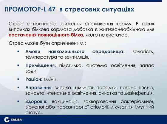 Промотор L 47 1 л CALIER Іспанія Вінниця