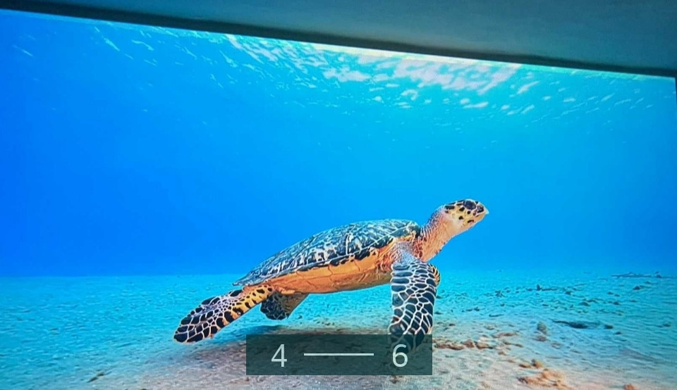 Проєктор Magcubic HY450/900ANSI/ Київ - фото 3