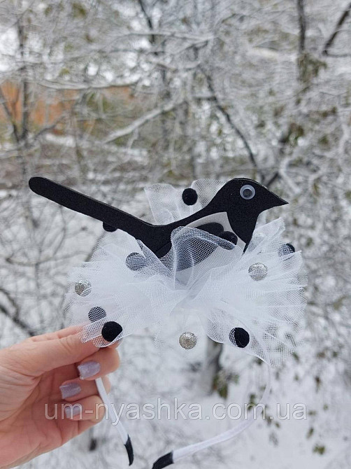 Обруч сороки Сорока Кривий Ріг - фото 1