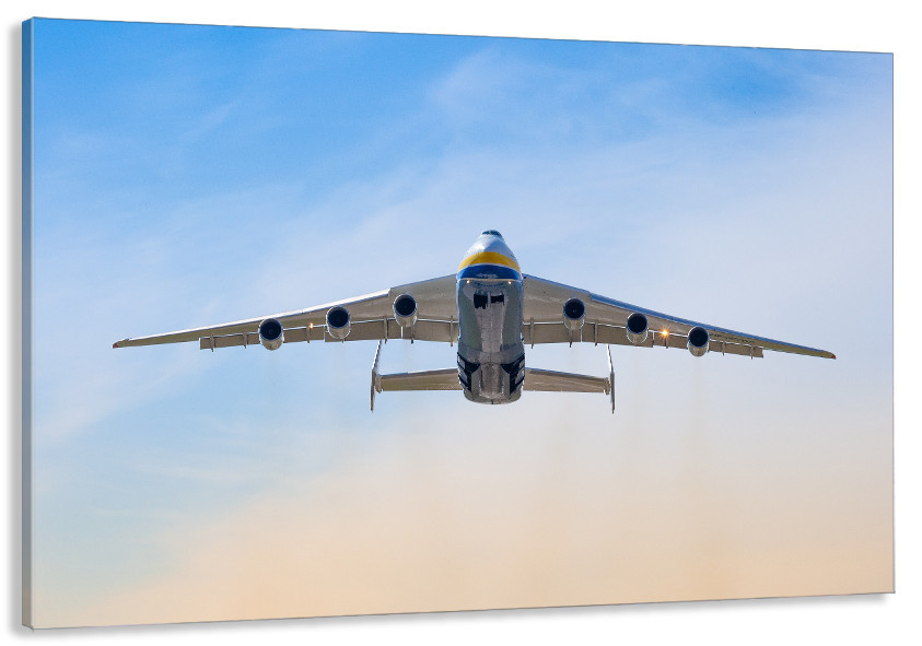 Картина холст в гостиную / спальню Мрія   MLP_78 90х180см Киев - изображение 1