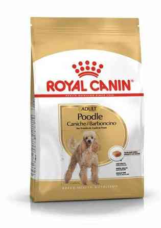 Royal Canin Poodle Adult (Роя Канін Пудель Едалт) сухий корм для дорослих собак пудель від 10 місяців 1.5 кг. Запоріжжя