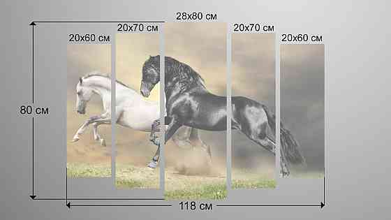 Модульна картина Коні Art-71_5 Київ