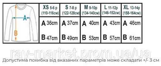 Свитшот детский утепленный Ray Basic Kids для мальчиков черный (K0303M-Black) 134-140 Киев