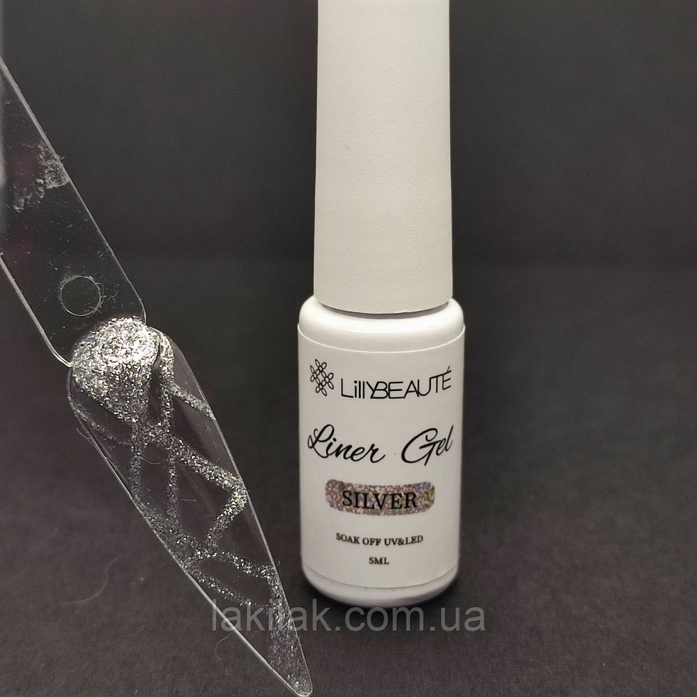 Лайнер гель-фарба №4 (срібна) Lilly Beaute Liner gel 5 мл Херсон - фото 1