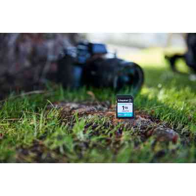 Карта памяти Kingston 128GB SDXC сlass 10 UHS-I U3 V30 Canvas Go Plus G4 (SDG4/128GB) Винница